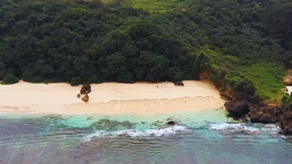 Sumba real estate land for sale