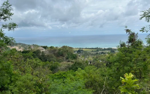 6.6 Hectares in the Hills of Rua Beach