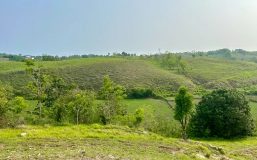 1 Hectare inside a Green Zone of Rua
