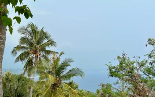 2.3 Hectares in Rua with Seaview